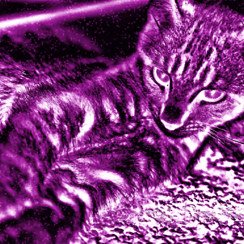 Item #64309169403603659567148793809865885404461893137426684527788227347500918374401 Media