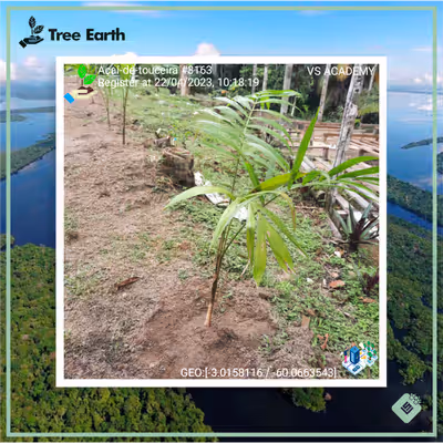 Item #8500196597889277390194123329501889087166328879864934763448349364676034822145 Media