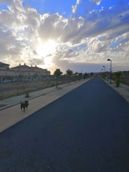 Item #112734530857144882359999642701628212224458434027144103607303888255908843618305 Media