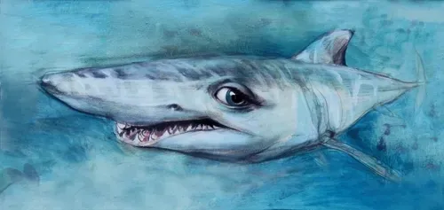 Item #75402606470535323072993465863396388594773696048556013435419036503746052882457 Media