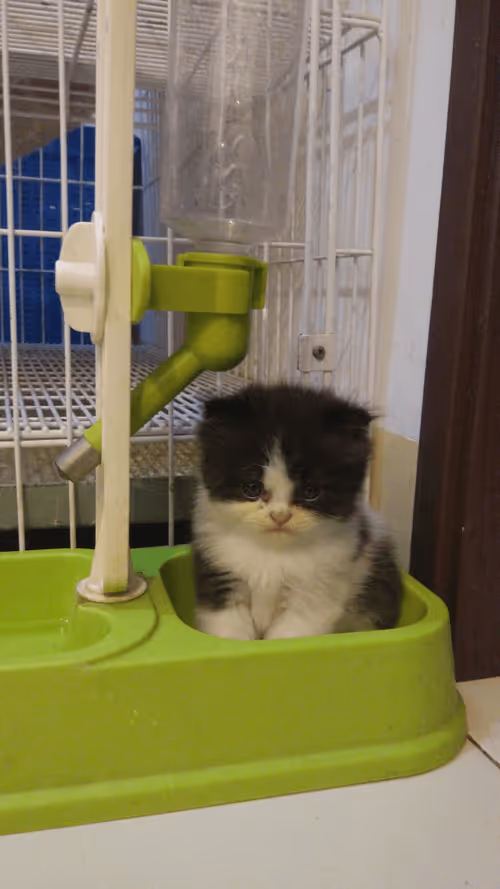 Item #36758969223495404699269639953612923914157556199761457656619876323609125322753 Media