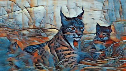 Item #5268166588450870648624449421433370993939742768172324454239271416396404228097 Media