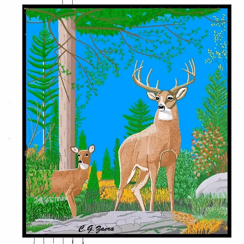 Item #2719652509030203085310659099978947857056197317648672826236285642384544366593 Media