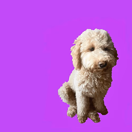 Item #71188718157521890056217826245416464690012970148001039644603136667711529025546 Media