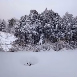 Snowfall