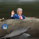 80340912600054084758423552781075491058500169881424247270461411899750056198145