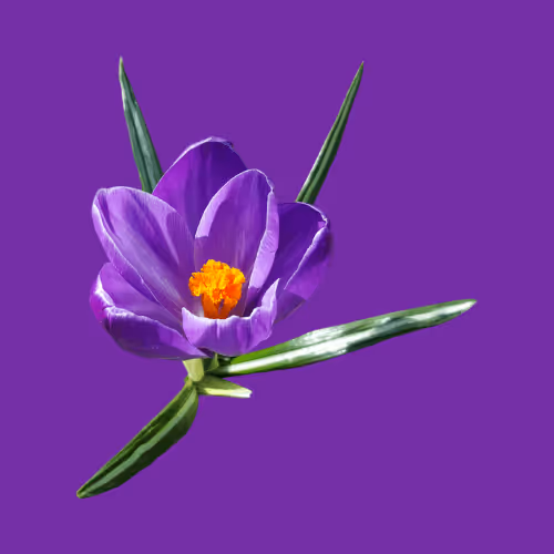 Item #11345277294321805490950982682706921649721953038596019142075108501585108402177 Media