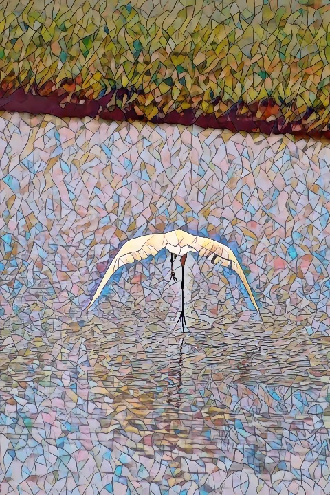 Item #32733674861489650832352945143157041569592525552396925725669160676248967446529 Media