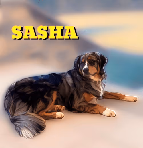 Item #85964330598725282311432859138783798868817696660557286705530214859938224668673 Media