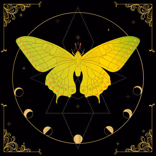 Item #9186887323471115990064256838151810712662596372602321320824786144394982981633 Media