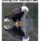 81012399425838537739345615190609762296361167523104163711762433849695848628225