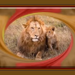 108065665434435766760522700651324844344204555372000129092130959936425698525194