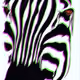 29497408159162457225944995239440000129549183192780083174230910718704774807553