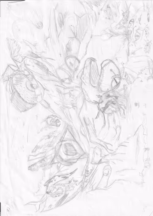 Item #3450612192529411824456088043894684208192435523980081769664322320447565725697 Media