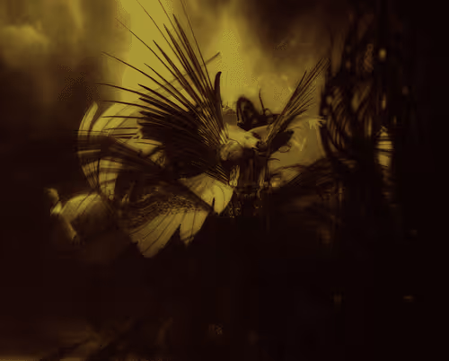 Item #54401399757692075874587151238735002689435184691976987508207065085087852789861 Media