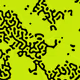 101701094206175850218338394222111736152098102952512760406699235810226890342401