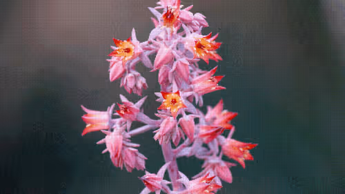 Item #75866091947728652238534111254584504918190435733442380629681527395530907320321 Media