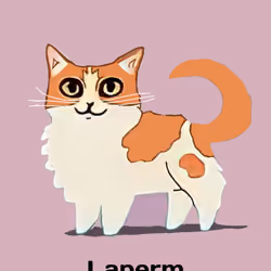 Laperm