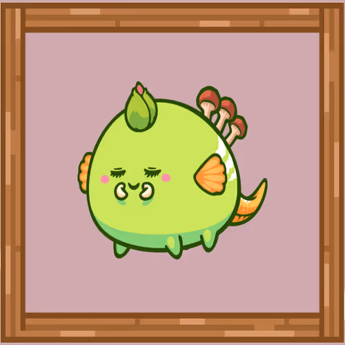 Item #112643814795743822514325975522009651772278415072445348906437962732034395734017 Media