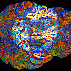 29877578668728852178902598419785793077778618348046200683544678308552479080449