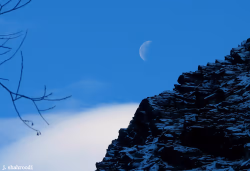 Item #16829873544358823407069858824692732059634710815232073413822602430501634441217 Media