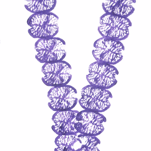 Item #114976545493241493257487804566862386491239486968085247361465236780896957235201 Media