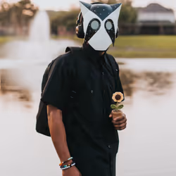 24254534113002831667604478980442589605007155413265616638335107422321758961665