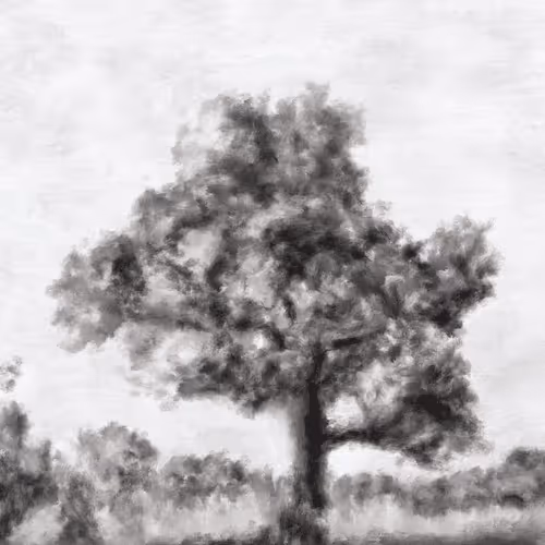 Item #74277105166926401675648590500167077095239870897579205430653654821989045501953 Media