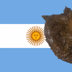 SHITTY FLAG OF ARGENTINA