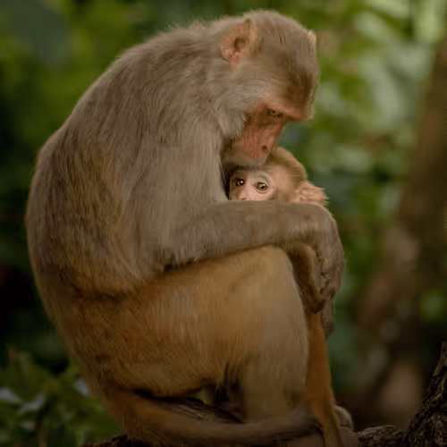 61684684013370051227163866082320023750896296023852719411798081122623893274649