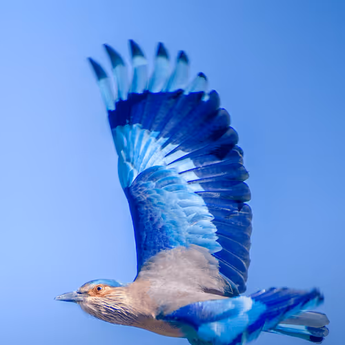 61684684013370051227163866082320023750896296023852719411798081124822916530201