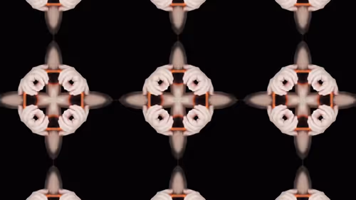 Item #24903874531350115991913359074638014120394763804843076394666795070993312251905 Media