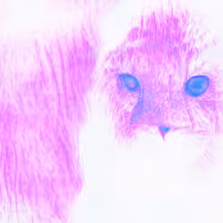 81389452228015721923544690746270190594299388963234071450728085721981745365012