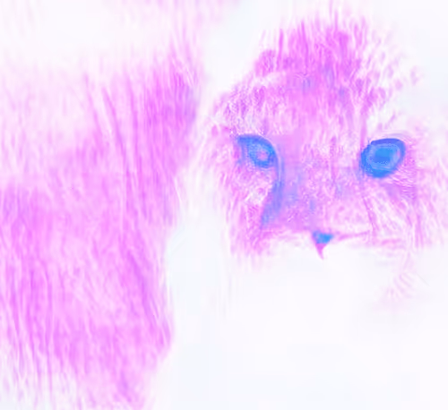 81389452228015721923544690746270190594299388963234071450728085721981745365012