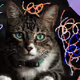 56806979023367866898574465418675647688322837945657750747474517311382328705027