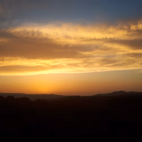 Untitled Collection #232779641