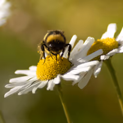 102458927918199709241975540615932782382390740094903184465142341297214849024001