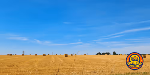 Item #35863194083128256797647772425284652682645032595179500226087347096631642161153 Media