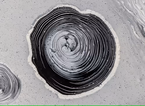 Item #63165176849248921704054766555332907923108956010987664948736825523053000654849 Media