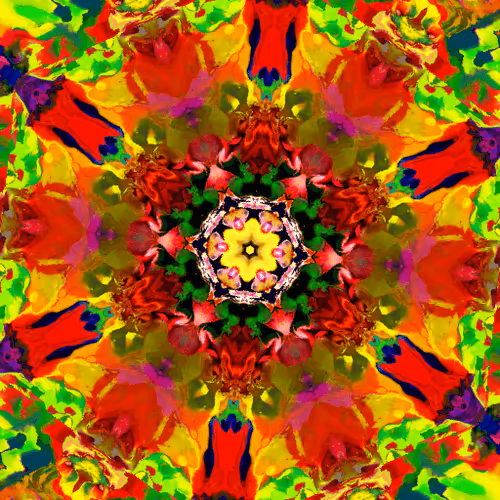 Item #109579018027133606473158902058456759875658318669045531735484408373386240065537 Media