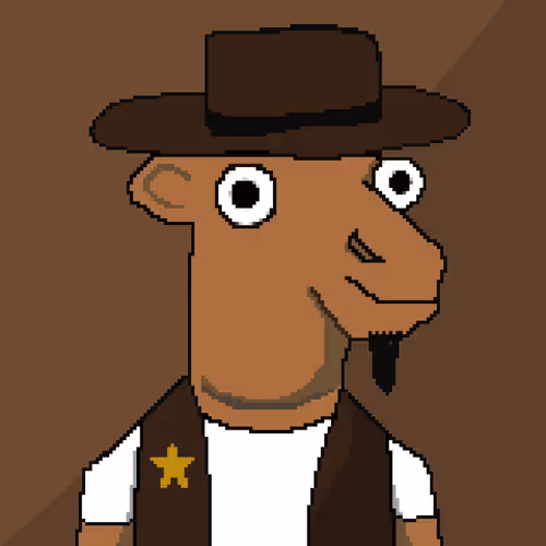 RC Sheriff #9