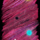 78514605708538024032391475016220075902551974500956605155388088731548900130826