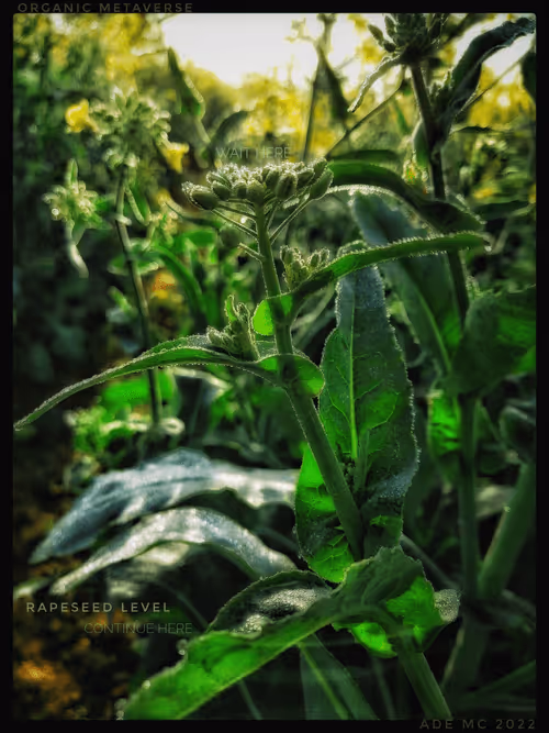 Item #3787080761074609709675817509753112159059746763483256848434353693036338216961 Media