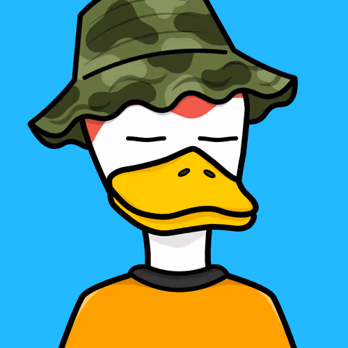 Mr Duck #2752