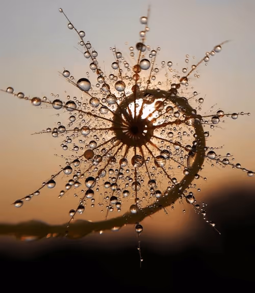 Item #33413414139489287400649870659377334176500574308326117543698477724382089183237 Media