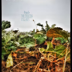 3787080761074609709675817509753112159059746763483256848434353575388594044929