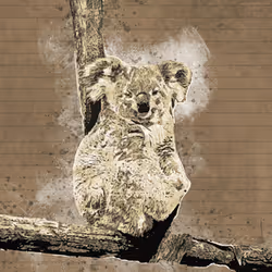 11276162529628641556553056529614973332754405277106184420845745711816451817473