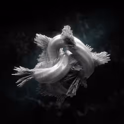 77898949108547955850781157610654916283937467032158407396598647712724123910145