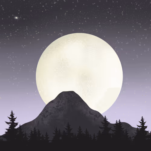 Item #7759405708321409562424869014357175846190305175980935923442919783723735973889 Media