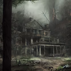 Manor In The Forest